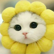 Ололенка L♥ve